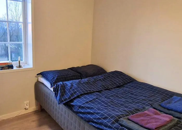 Torshov Gard, Viking Grounds